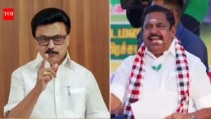 300 corps of paramilitary forces, 84k cops on duty as Tamil Nadu goes to polls. India News