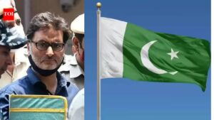 NIA: Enhance Yasin Malik’s life term to death penalty. India News