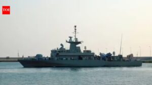 News of payment by Indian ship to Iran fake, says government | India News