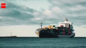 Govt extends e-visa entry to 14 seaports: Why ports need visa; 5 Indian ports where you can’t enter without a visa