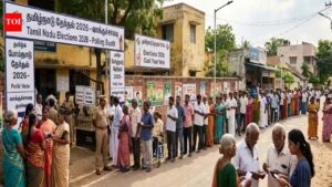 MK Stalin: Stalin holds edge, but dark horse Vijay keeps rivals guessing. India News