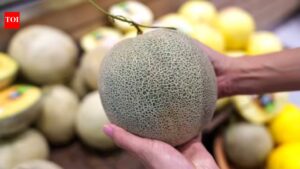 Cantaloupe Safety: Think your store-bought Cantaloupe is safe? Read this first