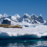 Antarctica’s “point of no return”: Scientists warn the meltdown may be unstoppable.