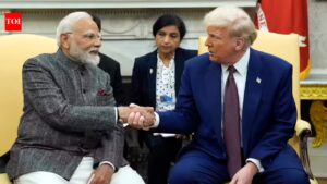 ‘Trump has said India a great country’: US in firefight mode after president’s ‘hellhole’ remark | India News