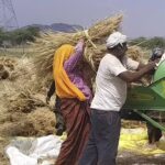 Raj ranks 1st in trade on e-NAM platform | Jaipur News