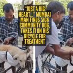 ‘Just a big heart…’ Mumbai man finds sick community dog, takes it on his bicycle for treatment; internet in tears