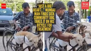 ‘Just a big heart…’ Mumbai man finds sick community dog, takes it on his bicycle for treatment; internet in tears