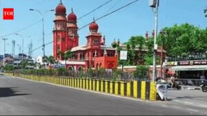 Chennai’s Elections: Quiet Streets and Booming Biriyani Sales | chennai news