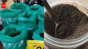 Tea Purity Test: Tea Purity Test: 3000 kg adulterated tea, 1500 kg expired tea seized: FSSAI’s 4 simple tests to check tea purity at home |