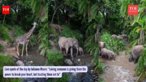 Hidden camera trap in Maasai Mara reveals a secret wildlife highway ‘river crossing’ no one knew existed