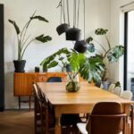 Indoor Plants: Why your indoor plants are dying despite your care |