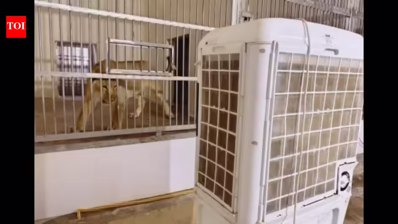 Patna zoo steps up measures to protect animals from scorching summer. Patna News