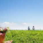 May 2026 UK bank holidays: Full list of holidays and the best ways to spend them