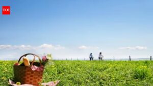 May 2026 UK bank holidays: Full list of holidays and the best ways to spend them