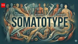 Word of the day: Somatotype |