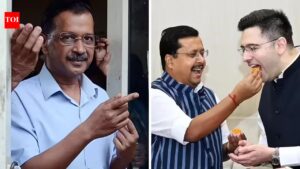 Raghav Chadha-led exodus jolts AAP; party races to recalibrate strategy: What next? | India News