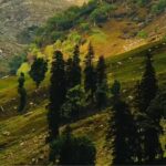 Staying in that room in Dharamshla changed my entire trip: An experience I will never forget |