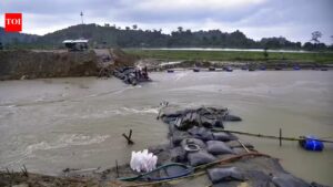 Barak prepares to reinforce embankments prior to monsoon season; 24×7 control room to be operational from May 1 | Guwahati News