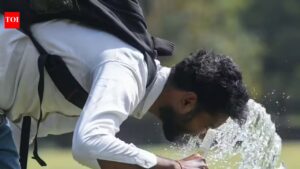 ‘Stay indoors’: IMD’s dos & don’ts to beat the heat | India News