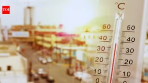 Peak power demand at record high amid scorching heatwave in India | Delhi News