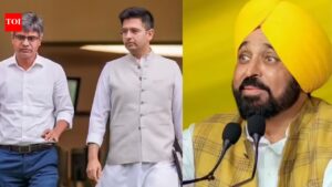 ‘Ginger-garlic can’t be a dish’: Bhagwant Mann’s jab at defecting AAP MPs; seeks meeting with President for his ‘recall’ Chandigarh News