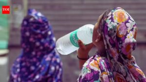 Kerala Temperature: Kerala records high UV index; KSDMA issues public advisory, flags health risks. Thiruvananthapuram News