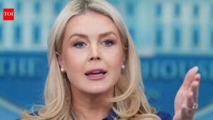 ‘Shots will be fired’: Karoline Leavitt’s pre-dinner comments go viral after White House shooting