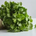 6 simple ways to keep coriander leaves fresh for a week
