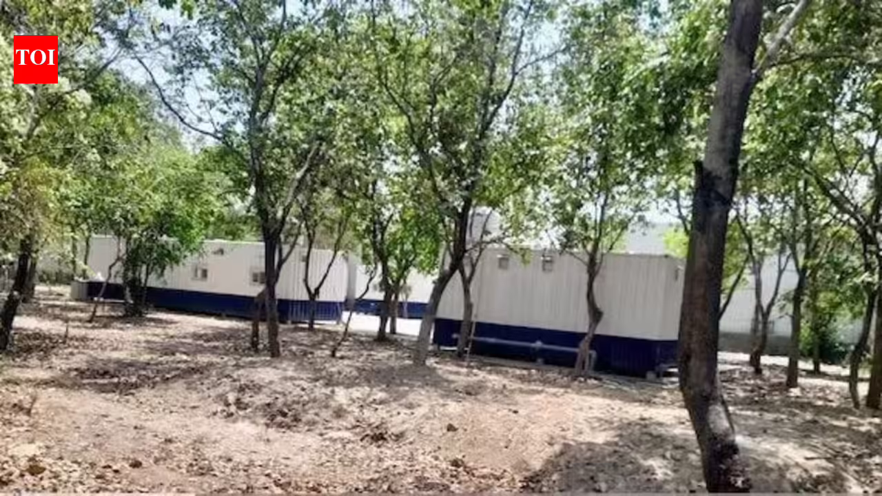 Roads, drains & parks: Residents write to MLA over crumbling infra. Noida News