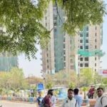 Residents step up with water stations, sparrow nests amid soaring heat. Noida News