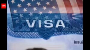 Rambling hurts your case: Immigration lawyer reveals how US visa decisions are made and why they are denied