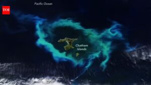 NASA satellite spots gleaming halo around New Zealand’s Chatham Islands |