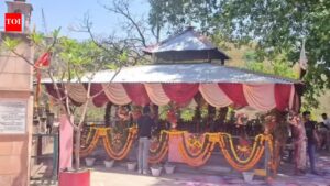 Uttarakhand minister son’s wedding at temple in Rajaji Tiger Reserve core area sparks row | Dehradun News
