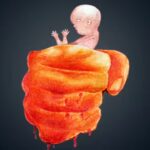 ‘Killers’ of the womb: A son obsession | Delhi News