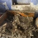 Jobless man kills dietician wife, seals body in cement box; letter sent to son reveals chilling plot Surat News