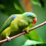 Why parrots can copy human voices but may not always understand the meaning.