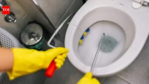 How to unclog a toilet fast without a plunger |