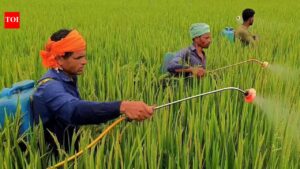 64 LT urea, 19 LT other fertilisers: India boosts import plans as global prices double amid Middle East crisis