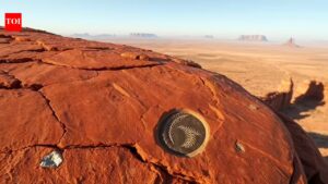 In 2024, an Australian farmer clearing scrub followed a strange metallic glint to a prehistoric world hidden for 15 million years.