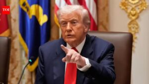 ‘I am not a rapist’: Donald Trump erupts in interview as media dinner shooting fallout deepens