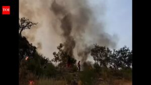 India submits its new climate action pledges to the UN body, flags the conditions to fulfill its promise. India News