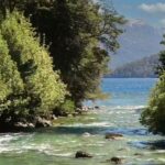 UK’s battle to restore environment reaches the High Court