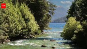 UK’s battle to restore environment reaches the High Court