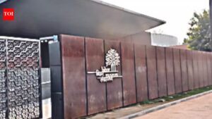 Bihar Museum: Bihar Museum ranks first in souvenir sales | Patna News