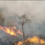 Odisha forest dept proposes motorcycle fire blowers to combat heat exhaustion. Bhubaneswar News