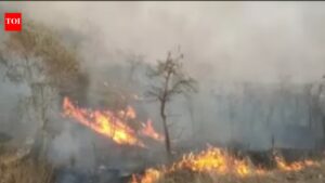 Odisha forest dept proposes motorcycle fire blowers to combat heat exhaustion. Bhubaneswar News