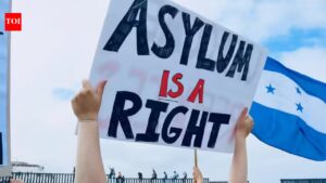 ‘Defending immigrants’: US states oppose Trump-backed rule that could delay asylum seekers’ work permits by 180 days