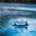 Delhi and several other states to get rain from this date: IMD forecast every traveler needs to know.