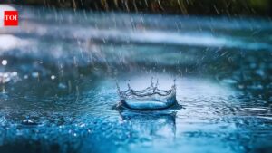 Delhi and several other states to get rain from this date: IMD forecast every traveler needs to know.