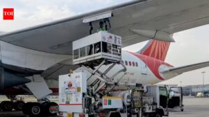 ‘Indian airline industry on verge of stopping operations,’ says FIA; seeks government intervention